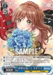 BD/WE42-084 理想を抱いて 今井リサ