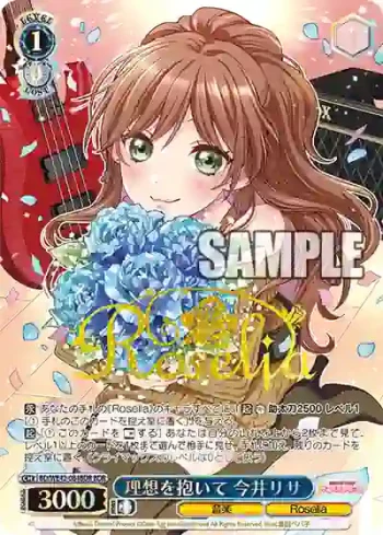 BD/WE42-084BDR  理想を抱いて 今井リサ