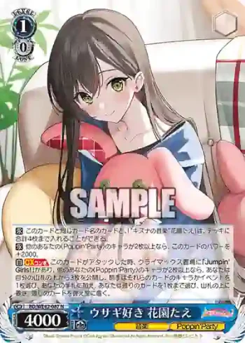 BD/WE42-087  ウサギ好き 花園たえ