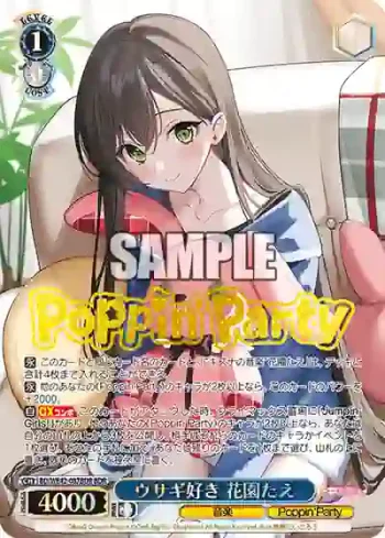 BD/WE42-087BDR  ウサギ好き 花園たえ