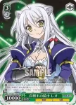 DD/WE12-T04 TD 百獣王の騎士 レオ