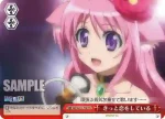 DD/WE12-T08 TD ホーリーセイバー