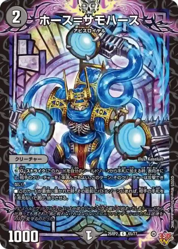 DM25RP2-065 C ホース＝サモハース