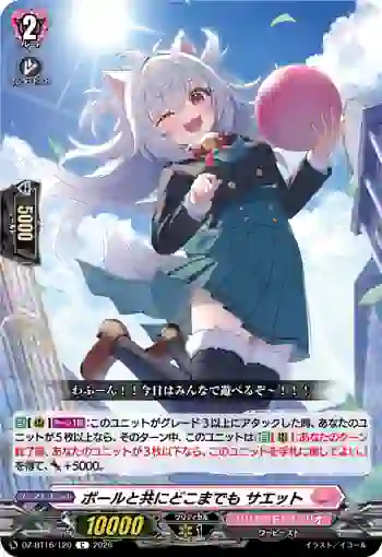 DZ-BT16/120 ボールと共にどこまでも サエット