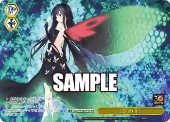 Gaw/WS02-P15 PR 《黒の王》