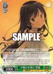 Goi/WS02-053S SR 夕焼けを背に 黒猫