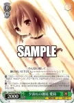 Grk/WS02-T15 TD 夕暮れの邂逅 愛莉