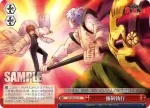 KR/SE30-41 CC 強制執行