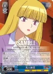KR/SE30-43 R 美人秘書
