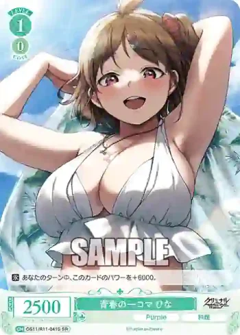 OS11/R11-041S SR 青春の一コマ ひな