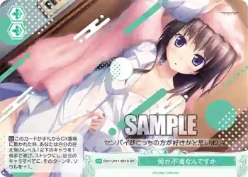 OS11/R11-051S SR 何が不満なんですか