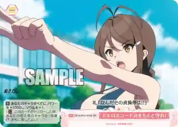 OS12/R12-073S SR ドエロスコードはきちんと守れ！