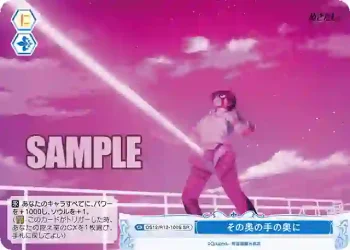 OS12/R12-100S SR その奥の手の奥に