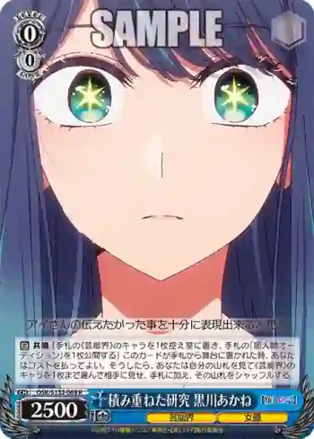 OSK/S133-069 R 積み重ねた研究 黒川あかね