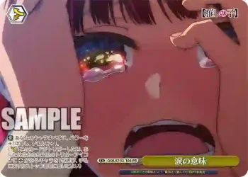 OSK/S133-104 PR 涙の意味