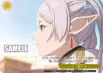 SFN/S136-025 CR お姉さんの所業