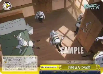 SFN/S136-025 CR お姉さんの所業