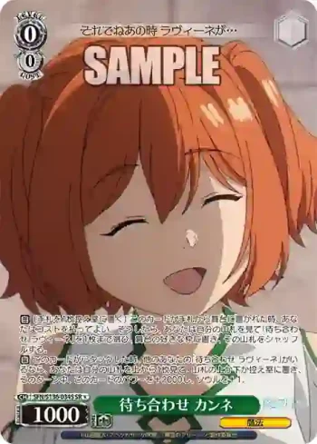 SFN/S136-034S SR 待ち合わせ カンネ