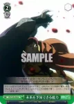 SFN/S136-048S SR 未来を予知できる能力