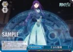 SFN/S136-097R RRR 偶然の出会い