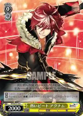 SR/SE25-10 C 熱いビート アグナム