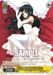 SS/WE41-07  囚われのシャナ