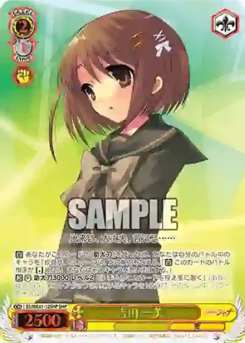 SS/WE41-12SHP  吉田 一美