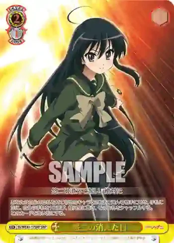 SS/WE41-17SHP  悠二の消えた日