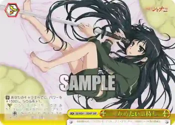 SS/WE41-19SHP  確かめたい気持ち