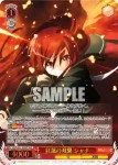 SS/WE41-33  守るべきもの シャナ