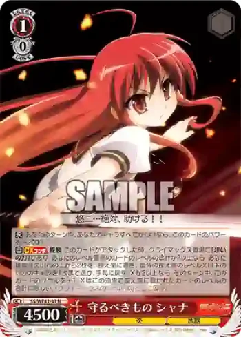SS/WE41-33  守るべきもの シャナ
