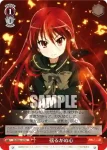SS/WE41-42  揺るがぬ心