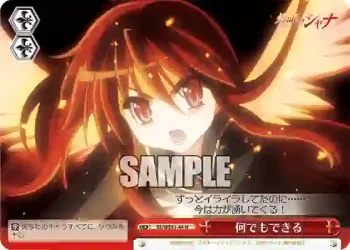 SS/WE41-44  何でもできる