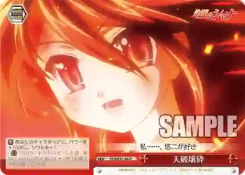 SS/WE41-46  天破壌砕