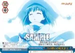 SS/WE41-60SHP 次の願いの結実まで