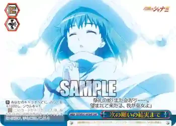 SS/WE41-60SHP  次の願いの結実まで