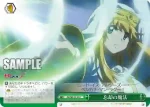 ZM/WE13-23 CC 忘却の魔法