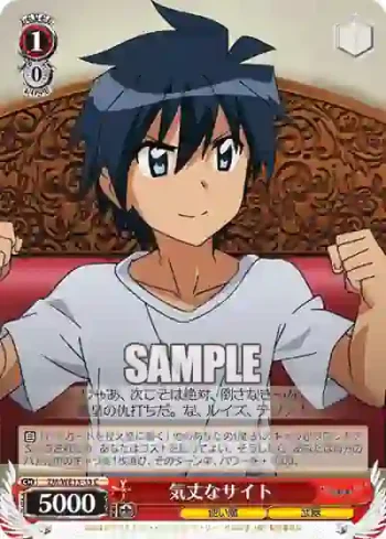 ZM/WE13-33 C 気丈なサイト
