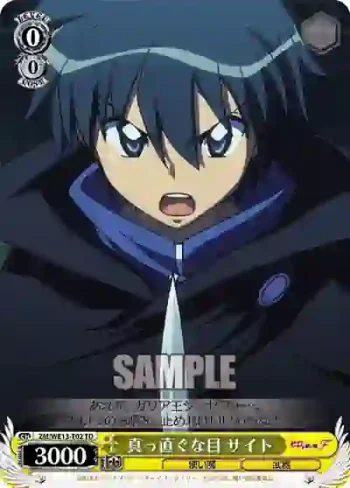 ZM/WE13-T02 TD 真っ直ぐな目 サイト