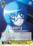 ZM/WE13-T02 TD 真っ直ぐな目 サイト