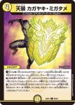 DM23EX1-065 C アシガ・ルピア