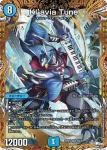 DM23RP2-05B SR Kl’avia Tune