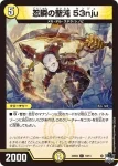 DM23SD2-010 C 忍瞬の聖沌 53nju