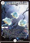 DM24BD6-014 SR 天頂と停滞と水晶の決断