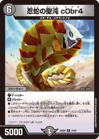 DM24BD6-034 R 忍蛇の聖沌 c0br4