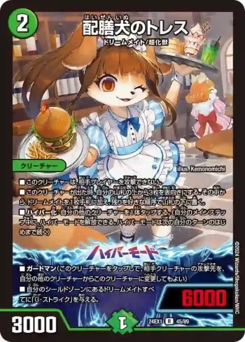 DM24EX1-045A R 配膳犬のトレス