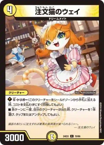 DM24EX1-070 C 注文猫のウェイ