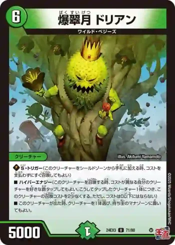 DM24EX3-071 U 爆翠月 ドリアン