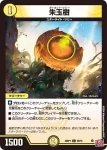 DM24RP1-056 C 朱玉樹