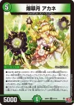 DM24RP4-021 R 爆翠月 アカネ